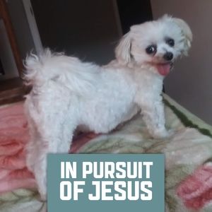 Meet your Posher, Vicki